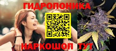 mdpv Севастополь