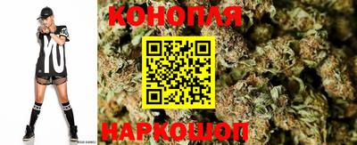 spice Свободный