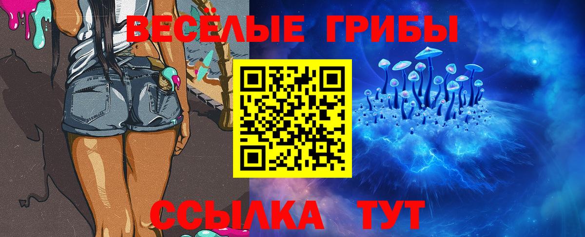 Алексин  Галлюциногенные грибы прущие грибы  Псилоцибиновые грибы MAGIC MUSHROOMS  Вход с VPN 
